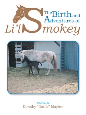 cover image of The Birth and Adventures of Lil Smokey